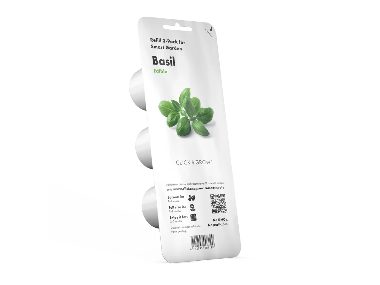 Basilicum