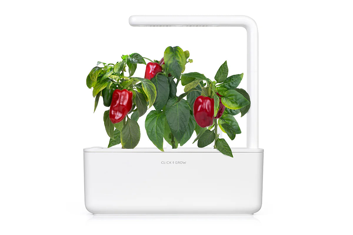 Rode Paprika