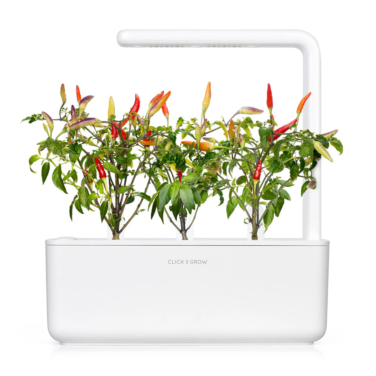Rode Chili Peper