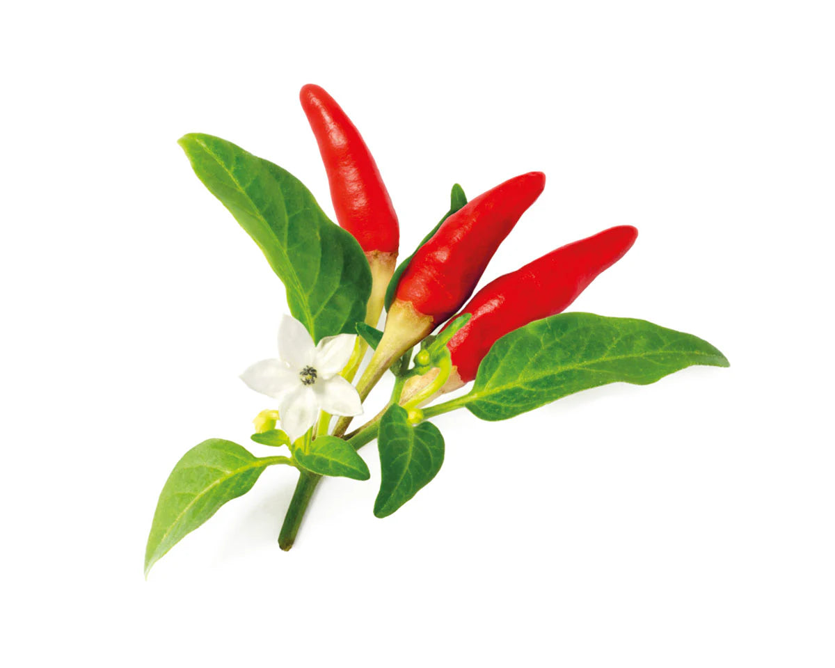 Rode Chili Peper