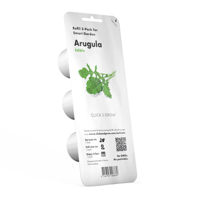 Rucola