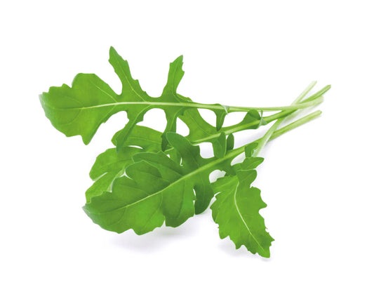 Rucola