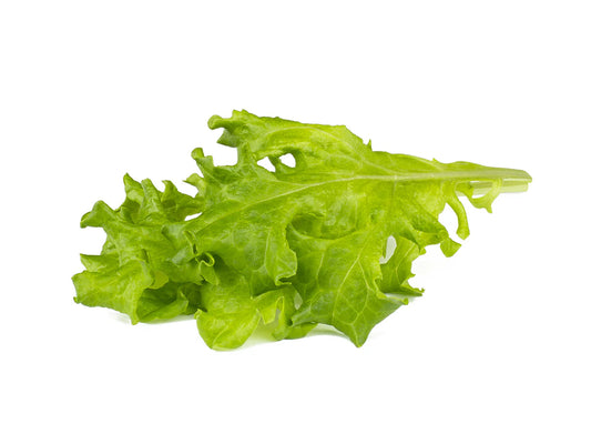 Eikenbladsla 