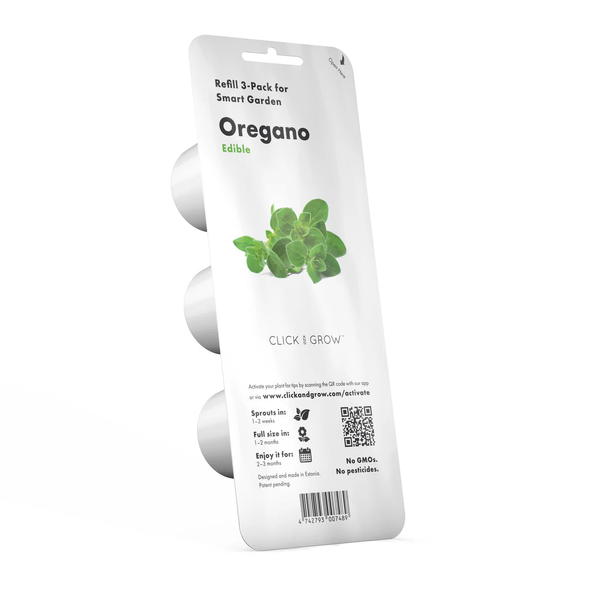 Oregano