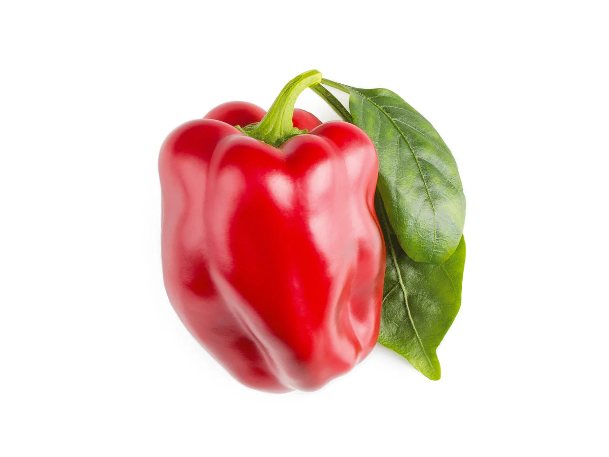 Rode paprika 