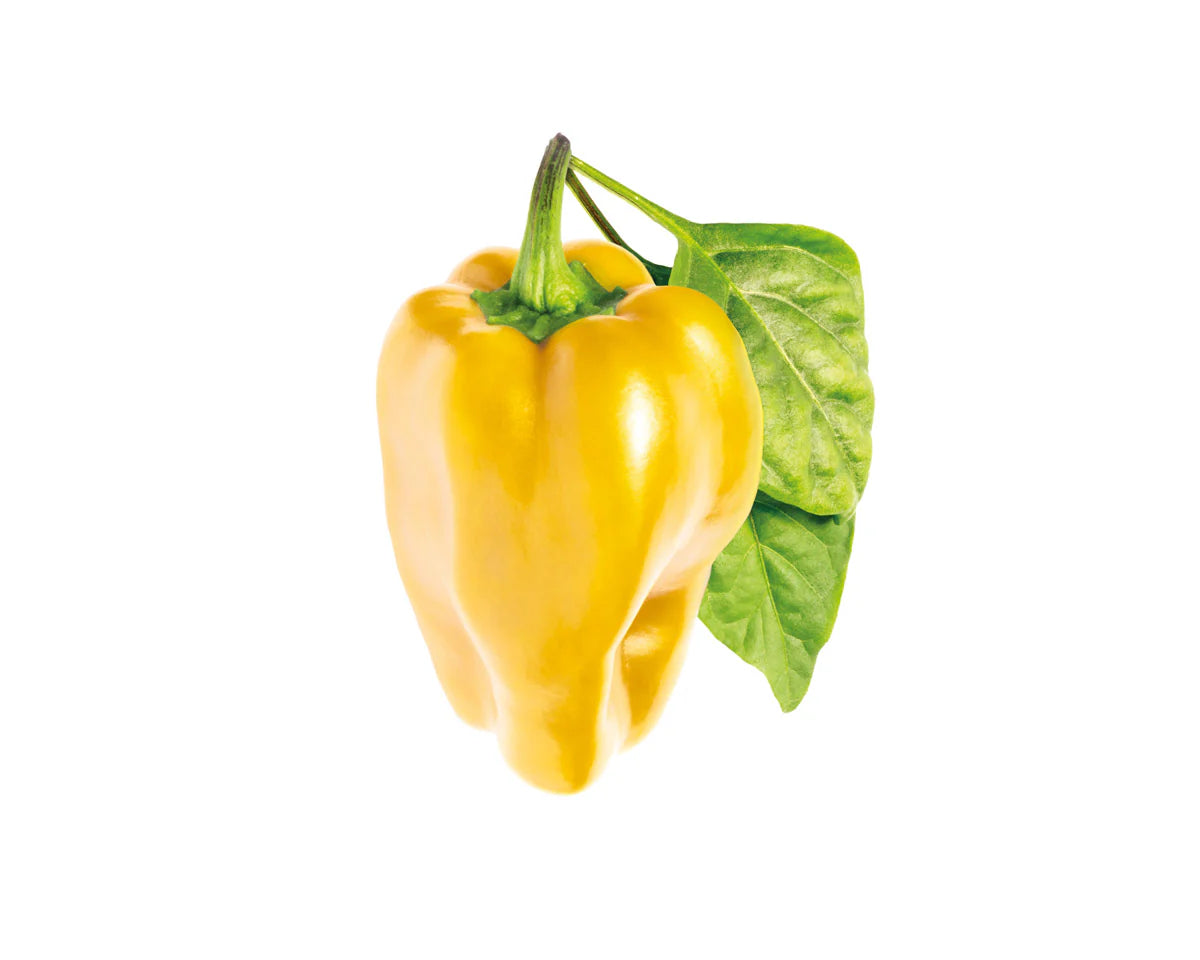 gele paprika 